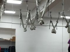 -网动网球培训(北京友谊宾馆校区)