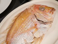 -吴记富苑(朝阳店)