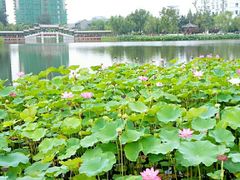 -西海子公园