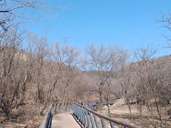 -白水寺森林公园