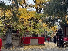 -红螺寺