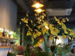 -ZooYoo佐佑咖啡(鼓楼店)