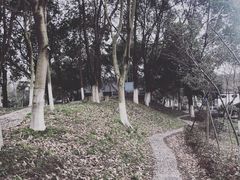 -丝绸小镇荻港古村