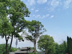 -黄陂区野村谷景区