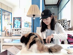 -Anne猫窝咖啡屋