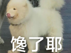 -马邦子·紫苏烤鱼(恒隆广场店)