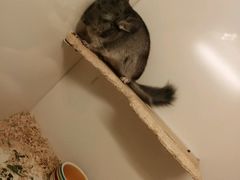 -龙猫仔乐园(惠福东路店)