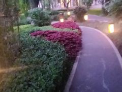-君庭中餐厅(友谊宾馆店)