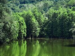 -滴水岩森林公园