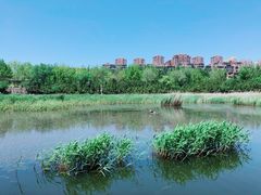 -前关湿地公园