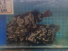 -前王院•巧克力海鲜市集餐厅(万平口店)