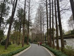 -杭州植物园
