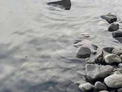 -东湖公园