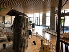 -溧阳天目湖天沐温泉