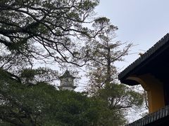 -江心屿景区