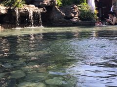 -杭州第一世界大酒店·云曼温泉