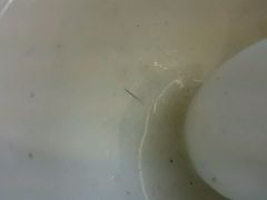 -长春观斋补堂素菜馆
