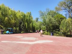 -鲤鱼山公园
