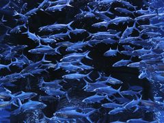 -波塞冬旅游度假区