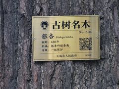 -尚贤河湿地