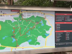 -火炉山森林公园