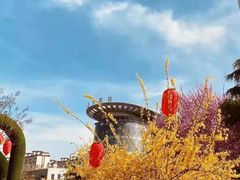 -兰陵国家农业公园