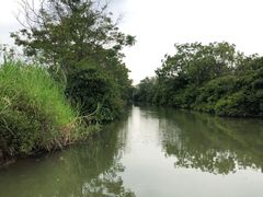 -大湾区中央湿地公园