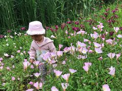 -贵阳市花溪国家城市湿地公园