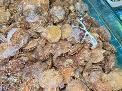 -和源祥·日照菜扛把子(万平口一店)