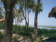 -卧龙湖