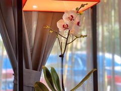 -墨宴(西洋湖店)