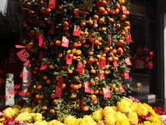 景观位-香云轩·顺德菜(香云纱园林酒店店)