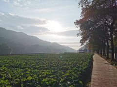 -广州市石门国家森林公园
