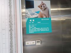 -伟伟宠物医院·CT影像中心·瑞派犬猫综合性门诊(汉口总院)