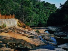 -广州白江湖森林公园