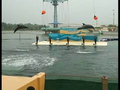 -秦皇岛乐岛海洋王国