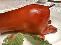 -8餐厅(新葡京酒店)