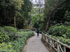 -阳台山森林公园