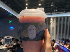 -野萃山·潮汕厚果汁(十亩地店)