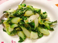 奶白菜苗清炒-荣轩(新荣记环球金融中心店)