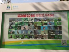 -昆山城市生态森林公园