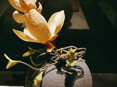 -见康道莱•足浴按摩•艾灸•SPA(友谊店)