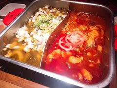 清江鱼-舒来喜鱼锅(伊河路店)