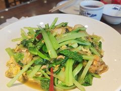扇贝肉炒小白菜-那家老院子东北菜·饺子·小鸡炖蘑菇(艳华街店)