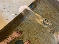 -中家鑫园温泉酒店鑫悦汤泉