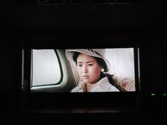 -庐山恋影院(河西路店)