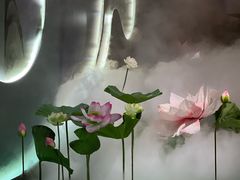 -厦门园林博览苑
