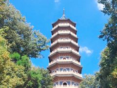 -灵谷景区