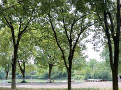 -西溪国家湿地公园