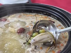 -花苑美食横琴生蚝火锅(拱北粤华路店)